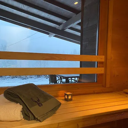 Renove Avec Sauna Prive, Wi-fi Et Parking A - Fr-1-589-619 Holiday home